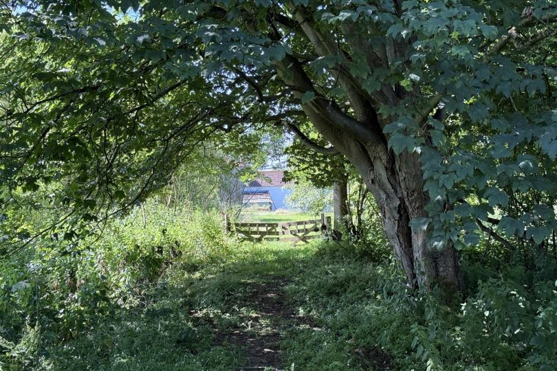 The Mill, Burgh-On-Bain, Market Rasen