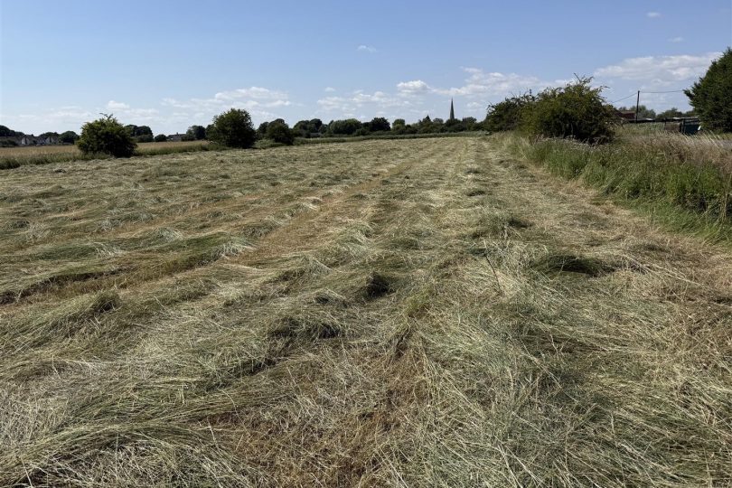 3.32 Acres Grassland – South Somercotes, Louth