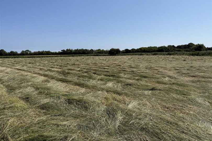 3.32 Acres Grassland – South Somercotes, Louth