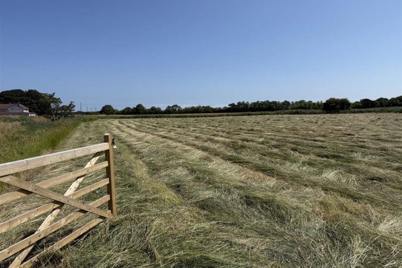 3.32 Acres Grassland – South Somercotes, Louth