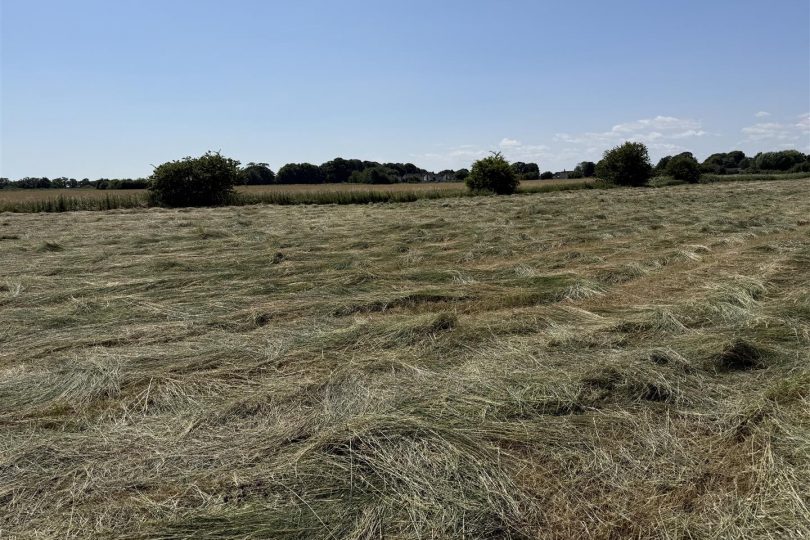 3.32 Acres Grassland – South Somercotes, Louth