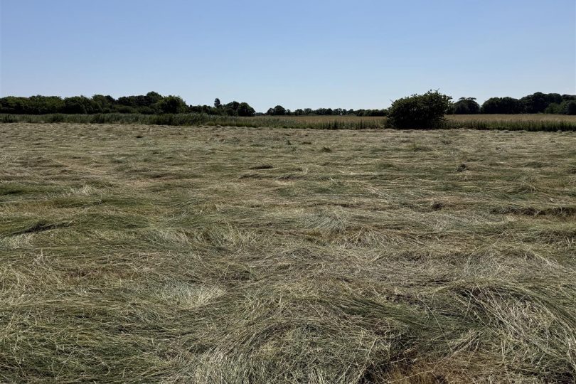 3.32 Acres Grassland – South Somercotes, Louth