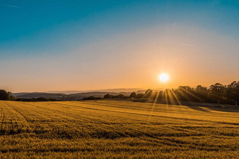 Farms and Land